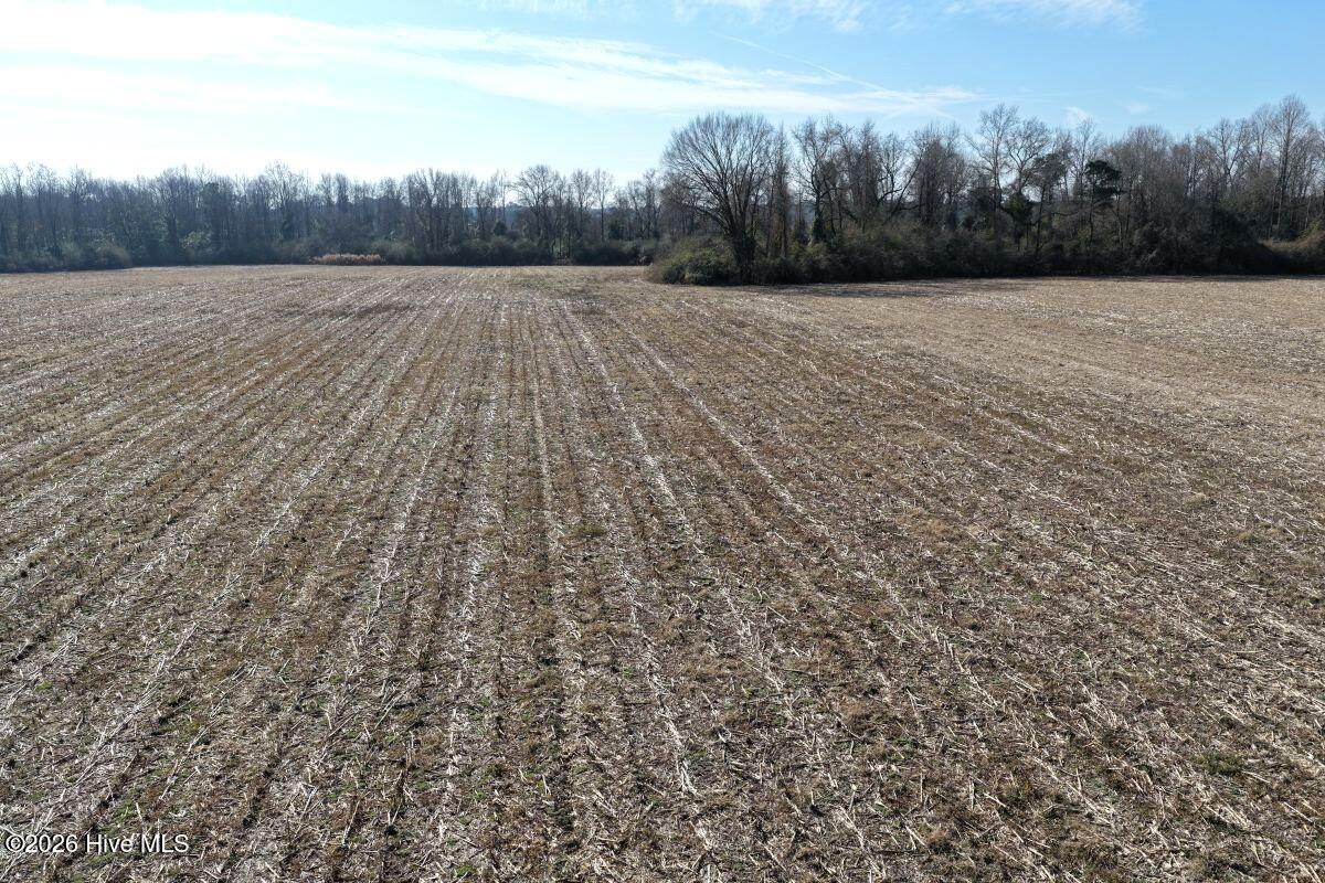 Lot 2 Euray Moore Road Warsaw, NC 28398 - Photo 29 of 50 28