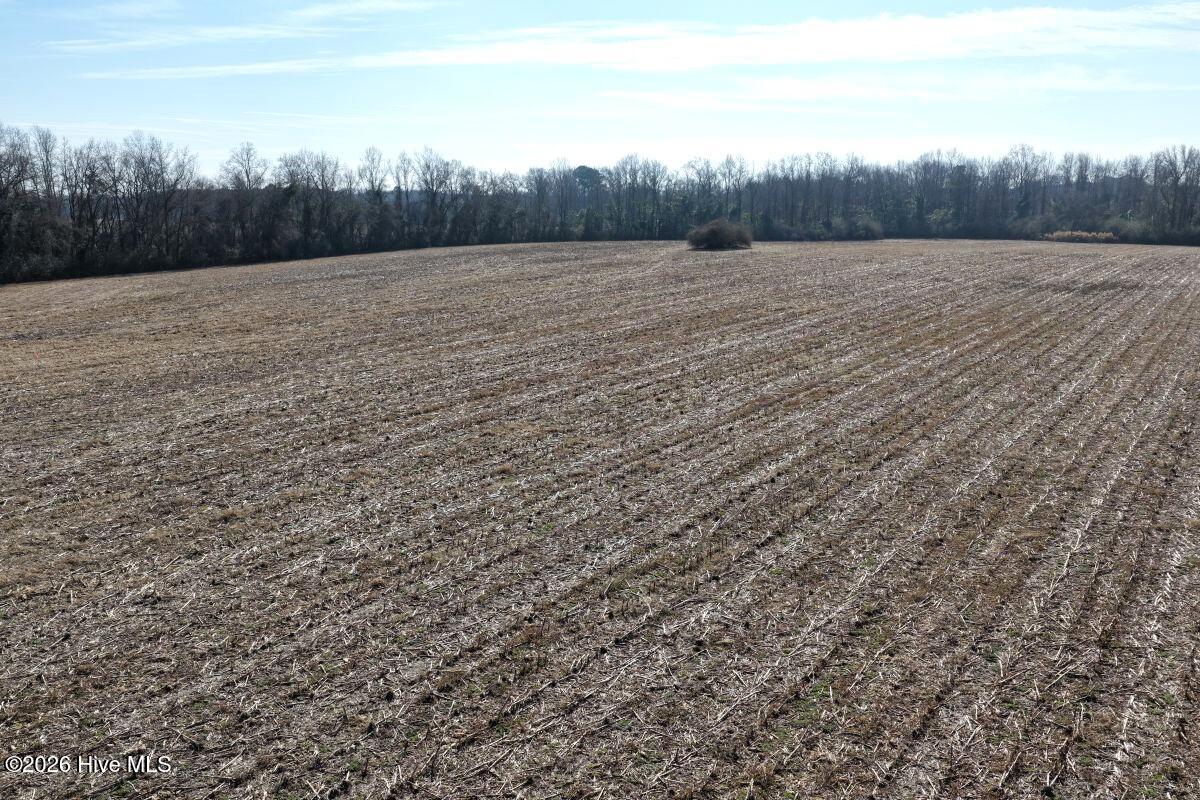 Lot 2 Euray Moore Road Warsaw, NC 28398 - Photo 30 of 50 29