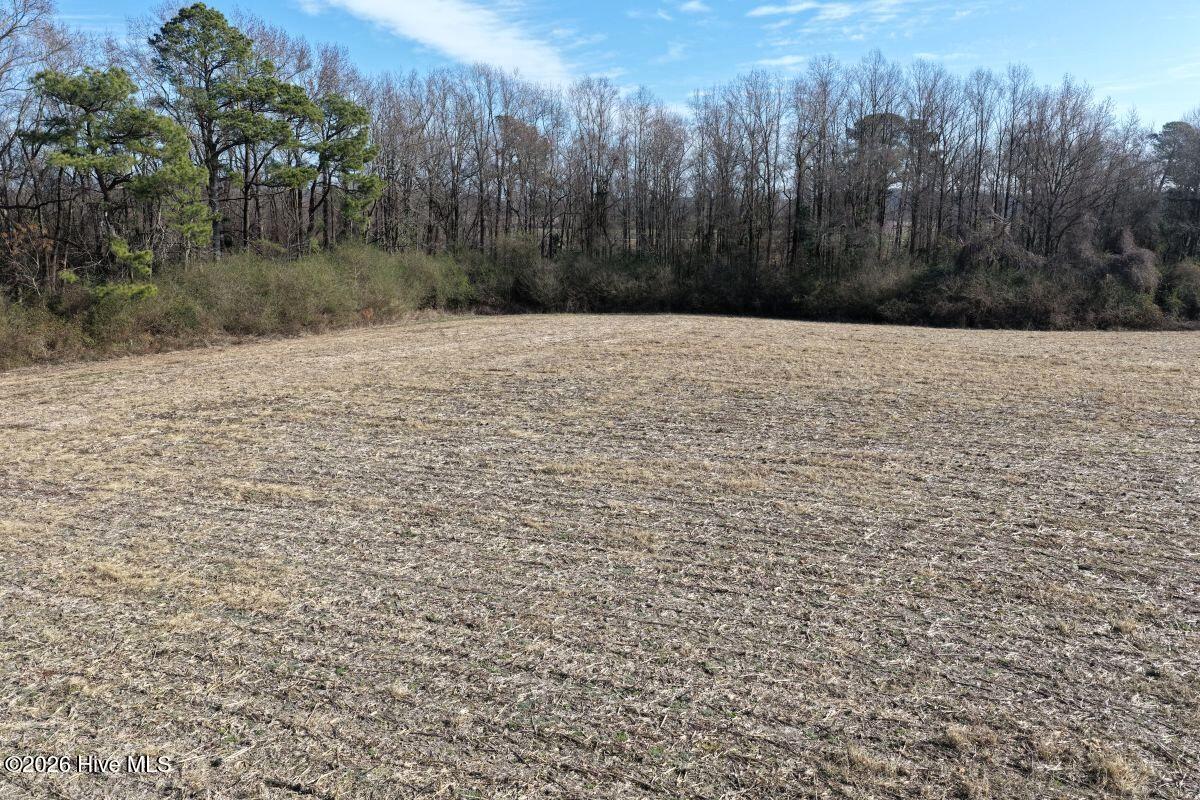 Lot 2 Euray Moore Road Warsaw, NC 28398 - Photo 31 of 50 31