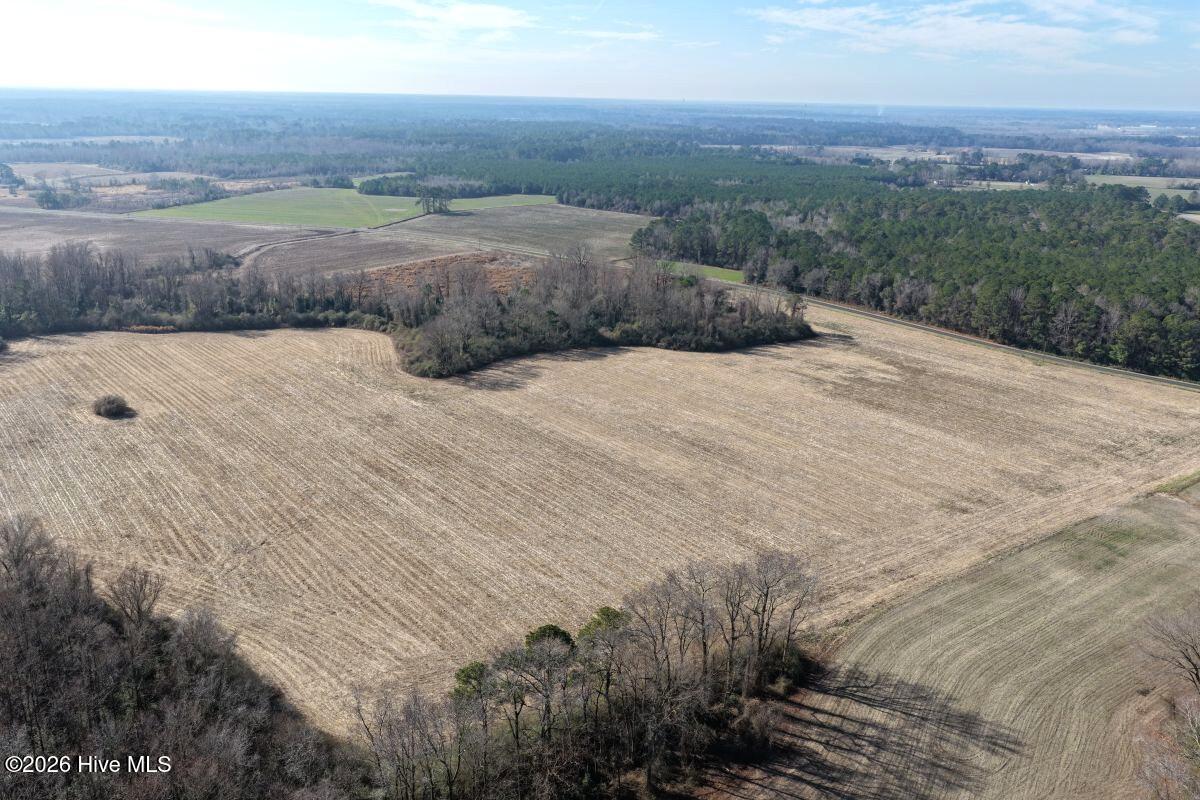 Lot 2 Euray Moore Road Warsaw, NC 28398 - Photo 34 of 50 37