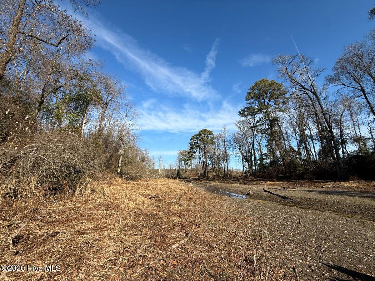 Lot 2 Euray Moore Road Warsaw, NC 28398 - Photo 38 of 50 43