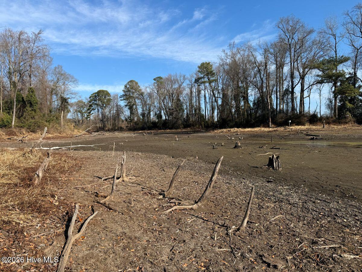 Lot 2 Euray Moore Road Warsaw, NC 28398 - Photo 39 of 50 44