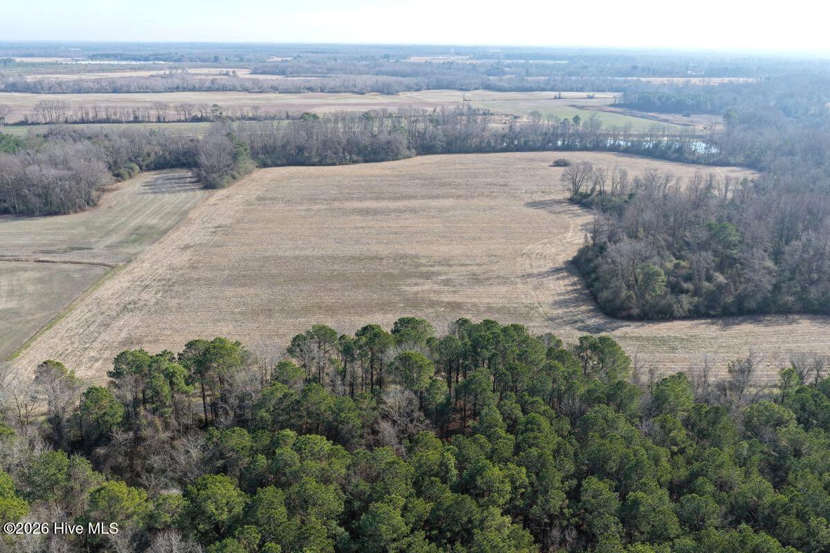 Lot 2 Euray Moore Road Warsaw, NC 28398 - Photo 8 of 50 6