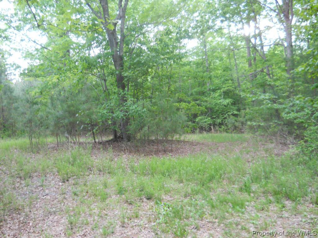Lot B Good Hope Road Lanexa, VA 23089 - Photo 3 of 5 Gallery Image 3