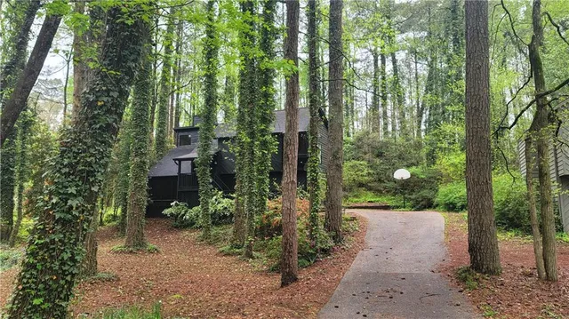 a view of a yard with plants and trees