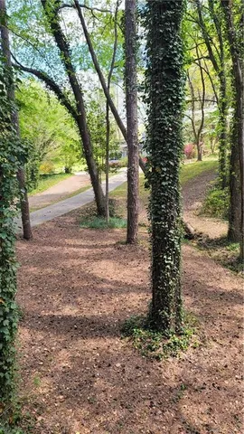 a view of backyard with green space