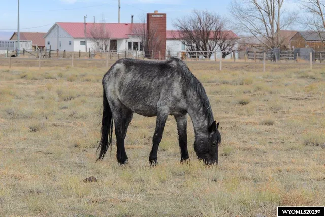 $155,000 | 347 Wild Horse Ranch Road, Laramie, WY 82070