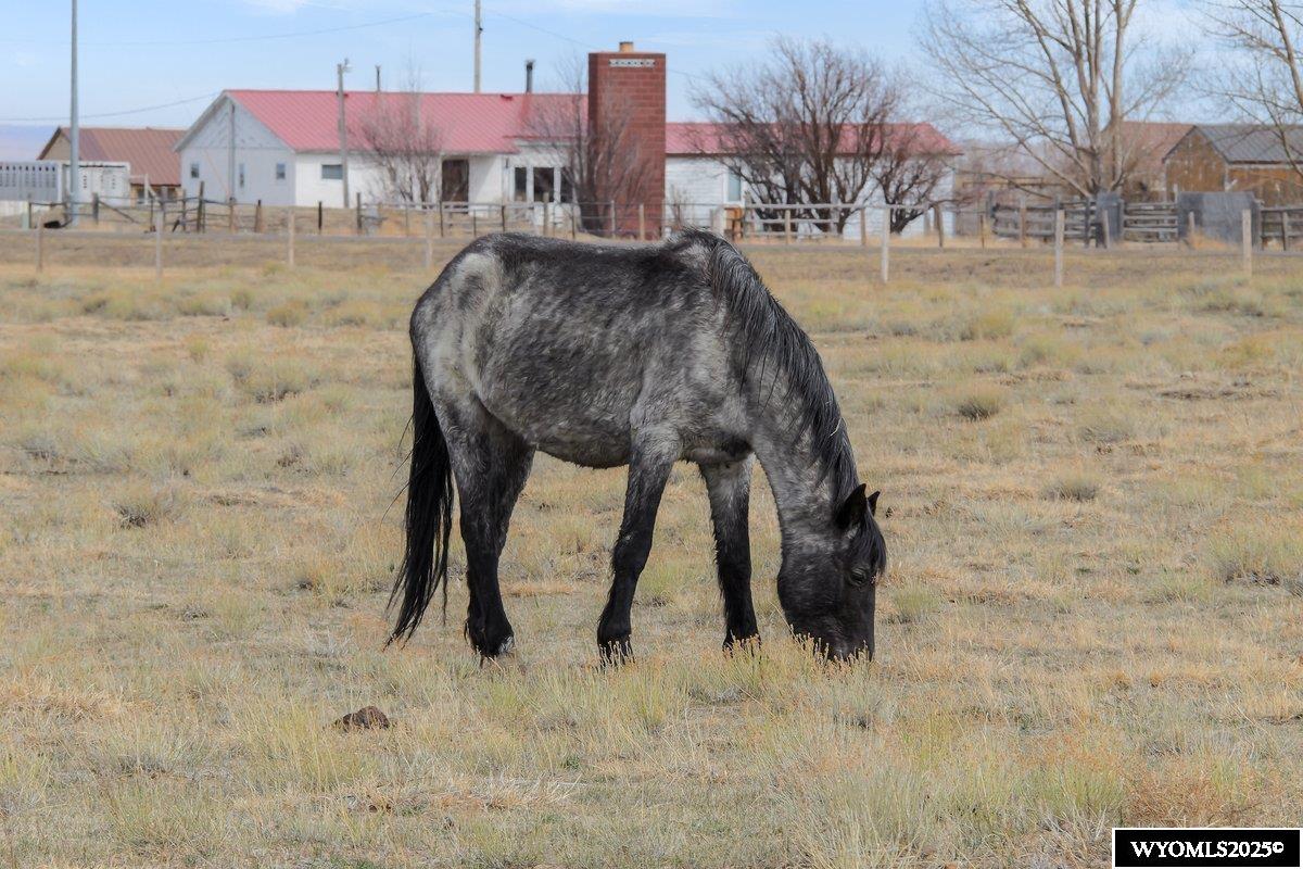347 Wild Horse Ranch Road Laramie, WY 82070 - Photo 16 of 18