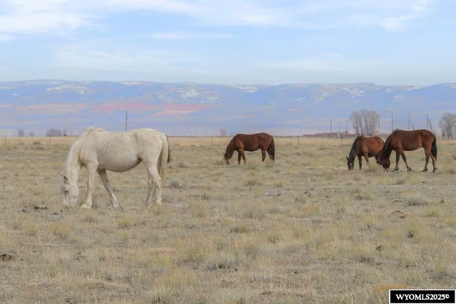 $155,000 | 347 Wild Horse Ranch Road, Laramie, WY 82070