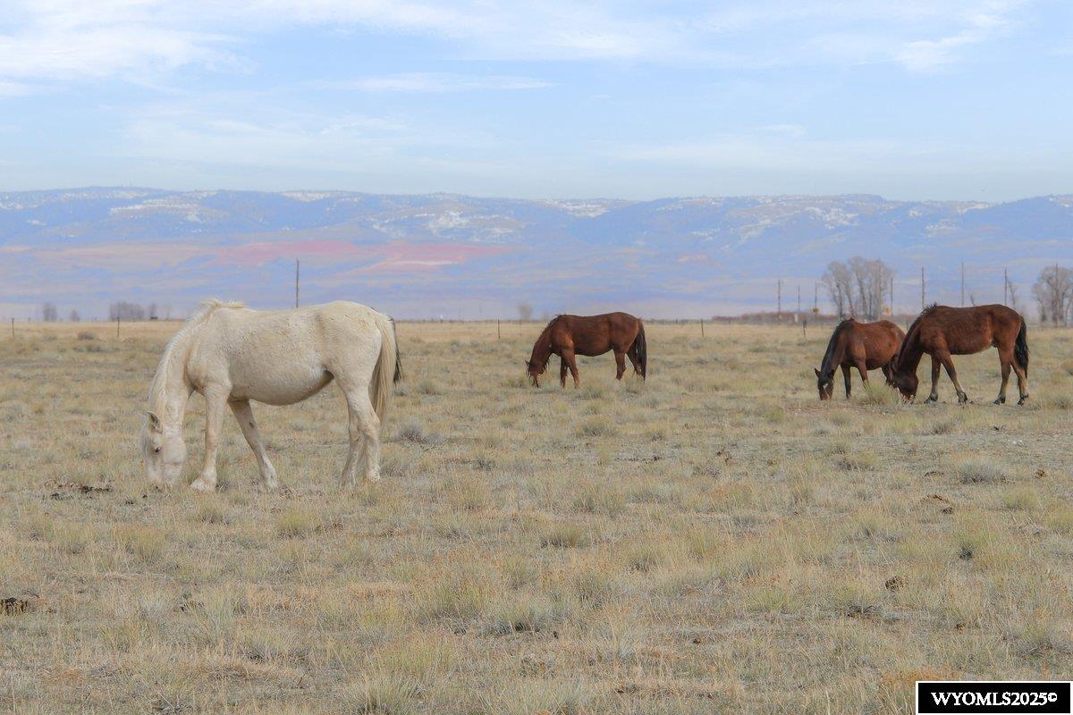 347 Wild Horse Ranch Road Laramie, WY 82070 - Photo 17 of 18