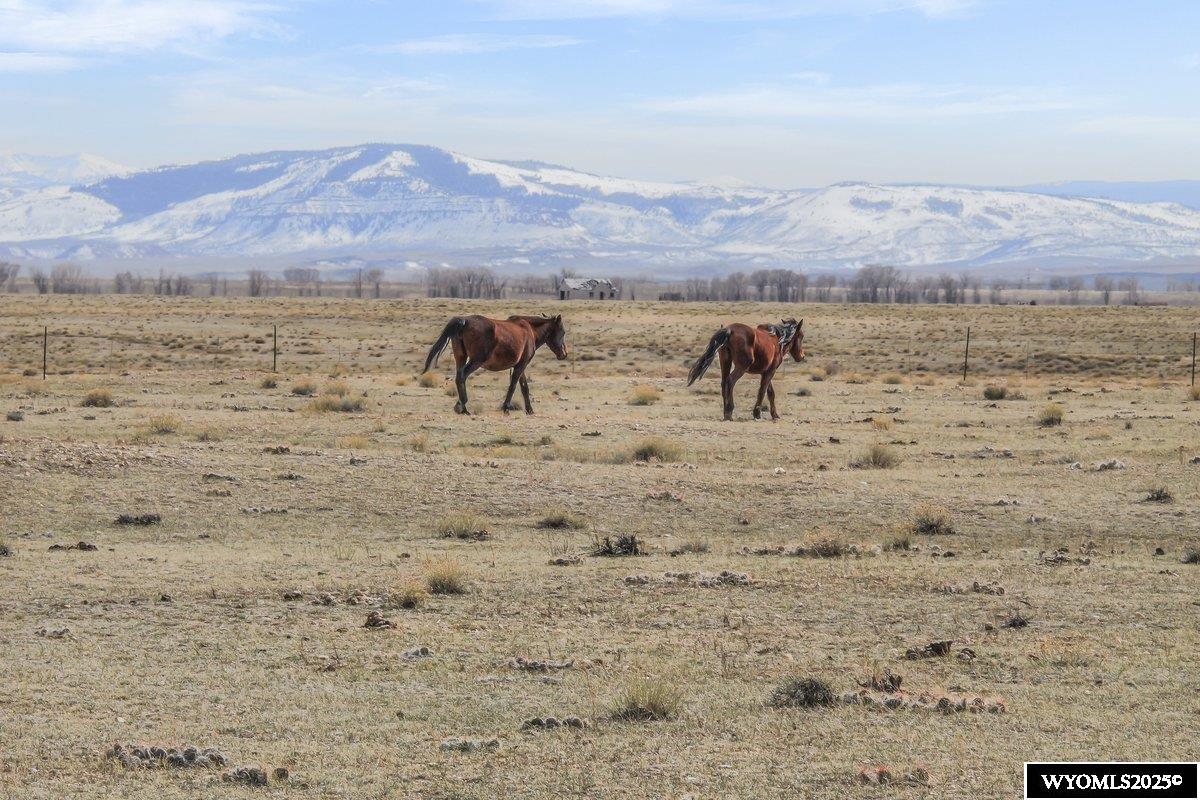 347 Wild Horse Ranch Road Laramie, WY 82070 - Photo 18 of 18