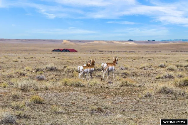 $155,000 | 347 Wild Horse Ranch Road, Laramie, WY 82070