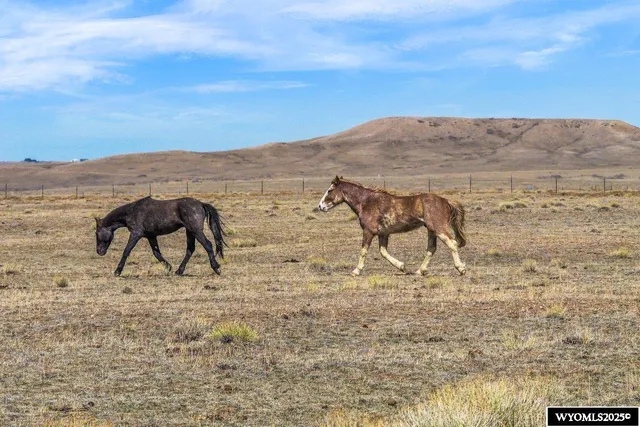 $155,000 | 347 Wild Horse Ranch Road, Laramie, WY 82070
