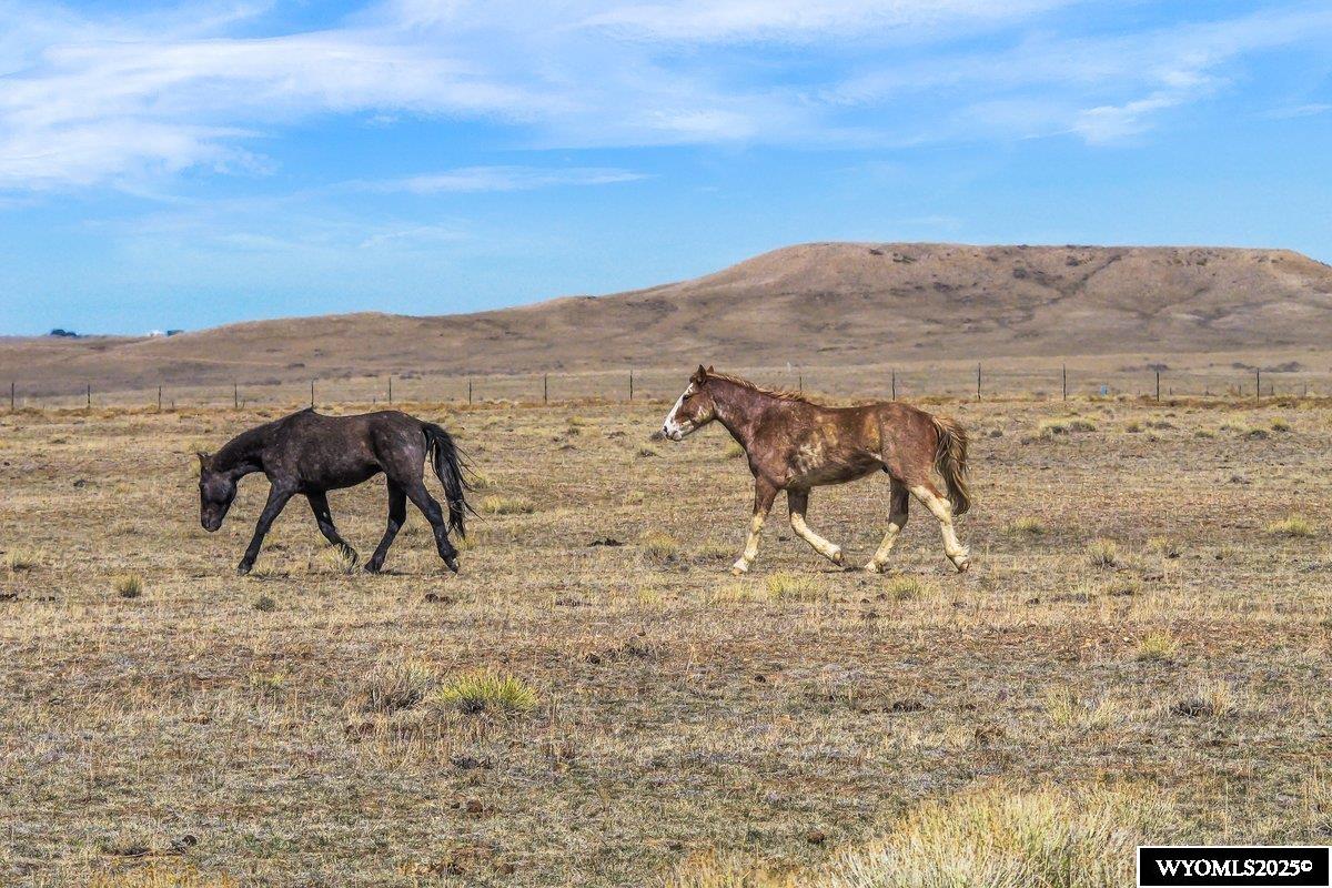 347 Wild Horse Ranch Road Laramie, WY 82070 - Photo 10 of 18