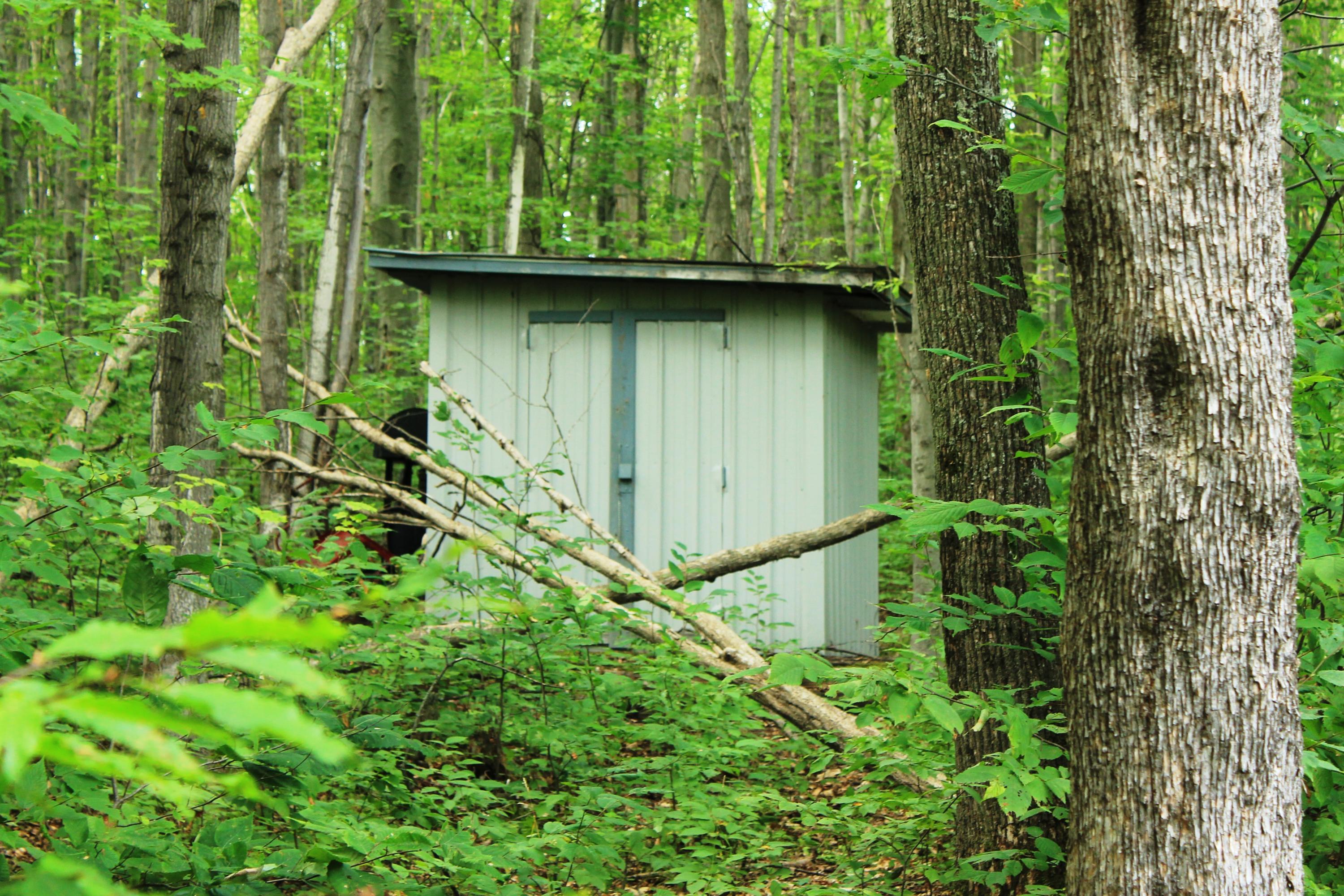 9062 Cameron Bridge Road Frederic, MI 49733 - Photo 42 of 46 Gallery Image 42
