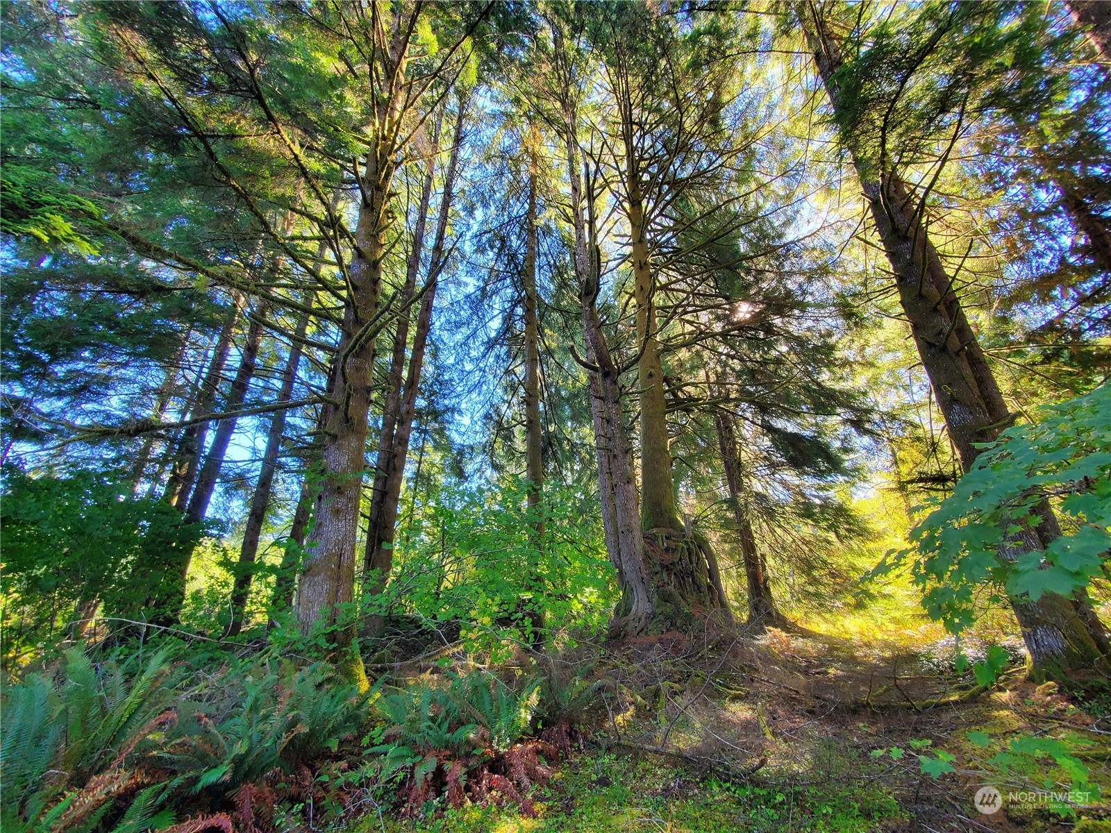 2250 North River Road Cosmopolis, WA 98537 - Photo 15 of 24 Gallery Image 15
