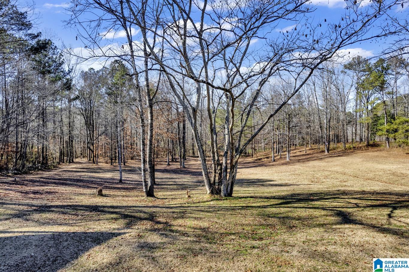 5113 Forestwood Road Adamsville, AL 35005 - Photo 34 of 45