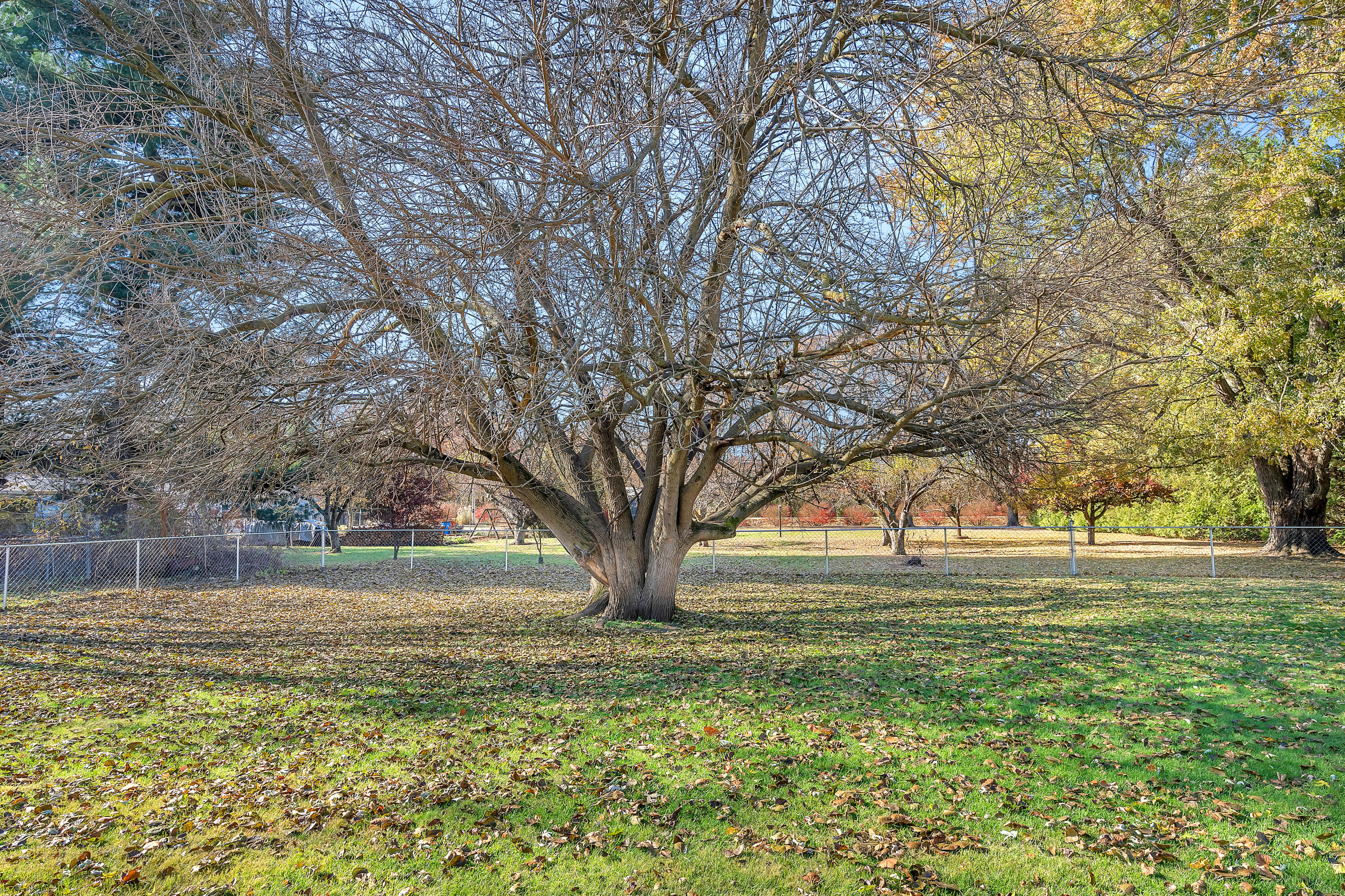 9606 Candlewick Road West Demotte, IN 46310 - Photo 18 of 18 3000x1999