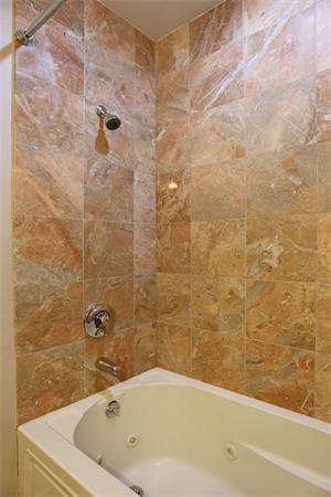 655 East 2nd Street, Unit 209 Boston, MA 02127 - Photo 12 of 16 a bathroom with a bathtub