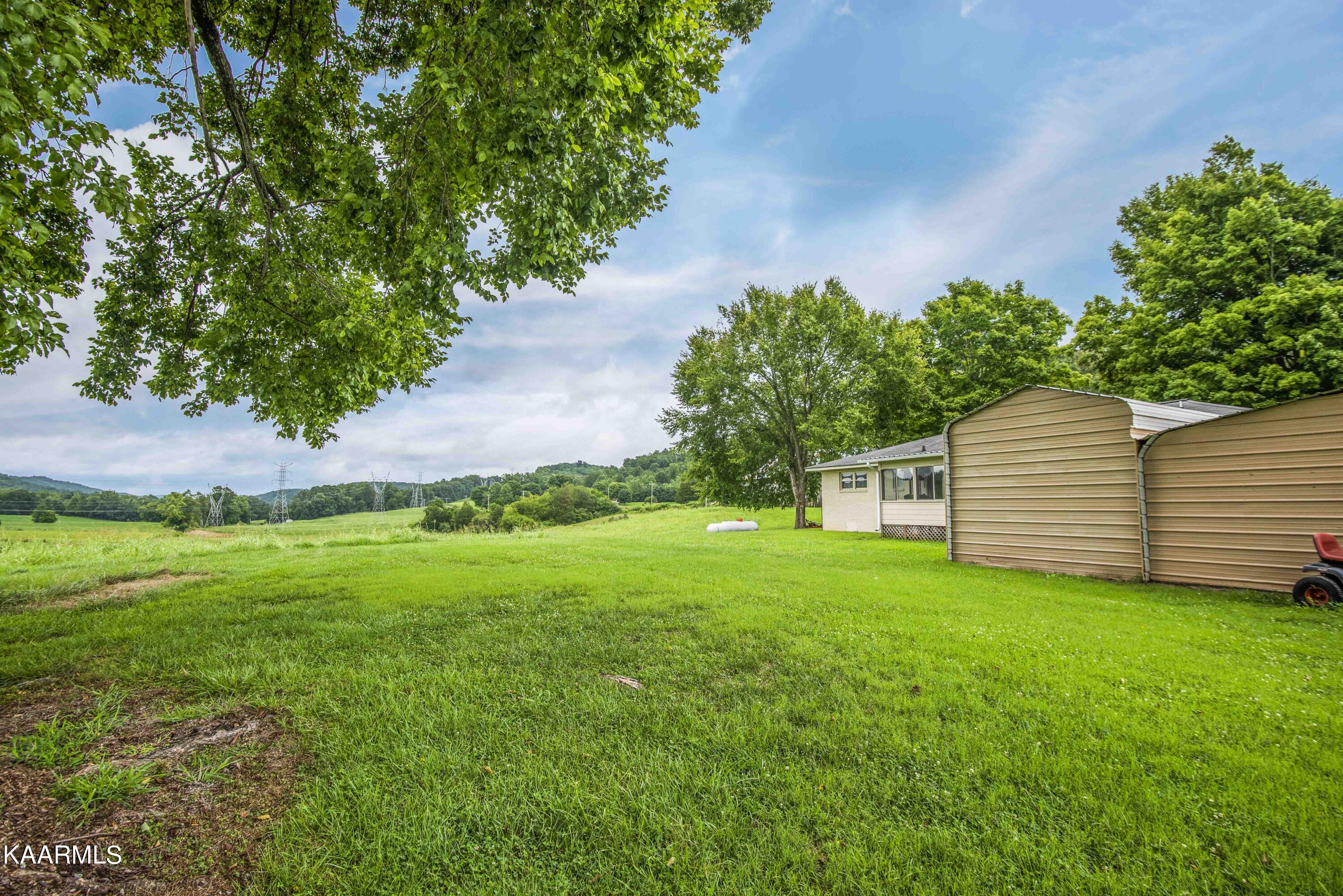 2943 Sugar Grove Valley Road Harriman, TN 37748 - Photo 4 of 56 yard 1_1