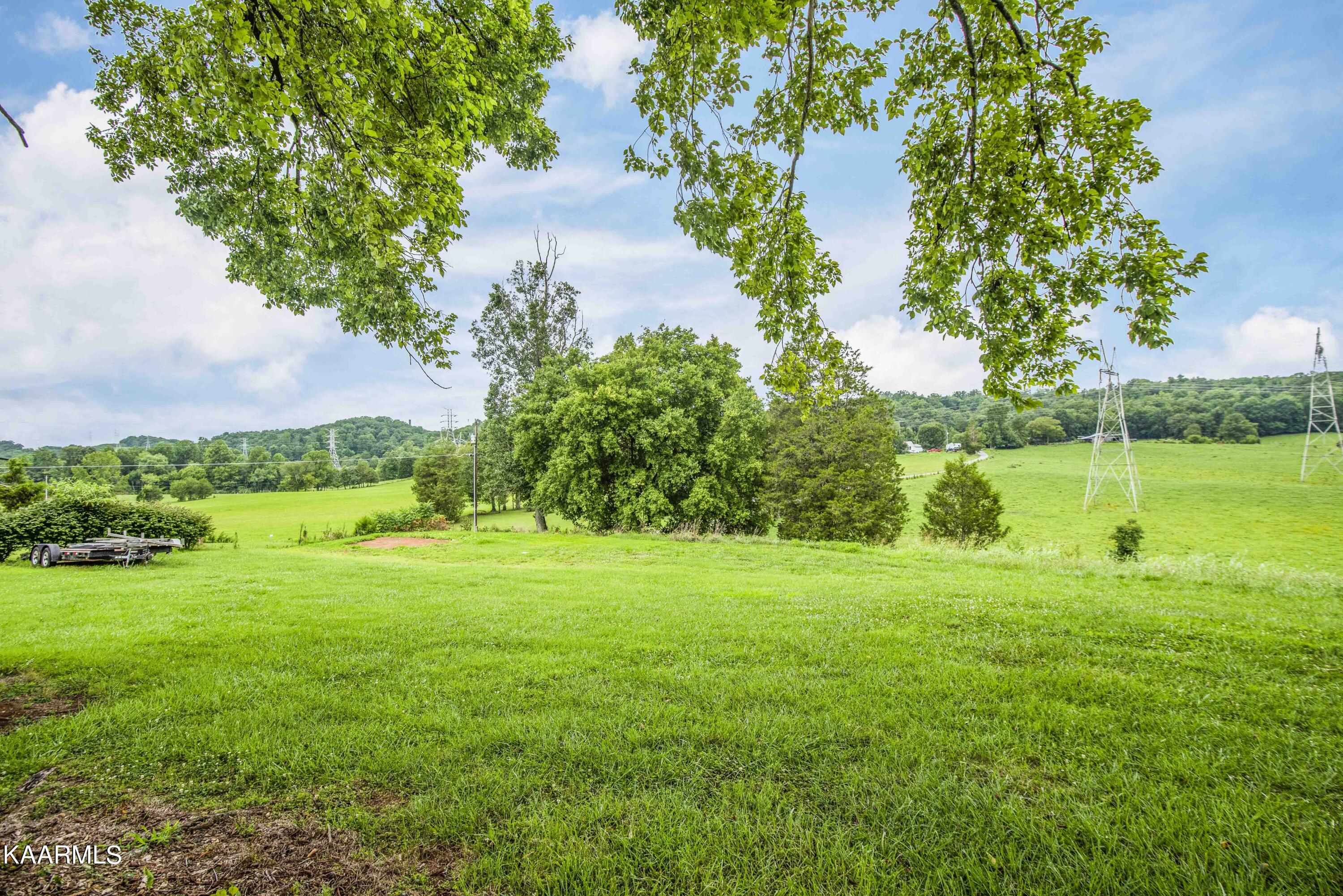 2943 Sugar Grove Valley Road Harriman, TN 37748 - Photo 5 of 56 yard 2_1