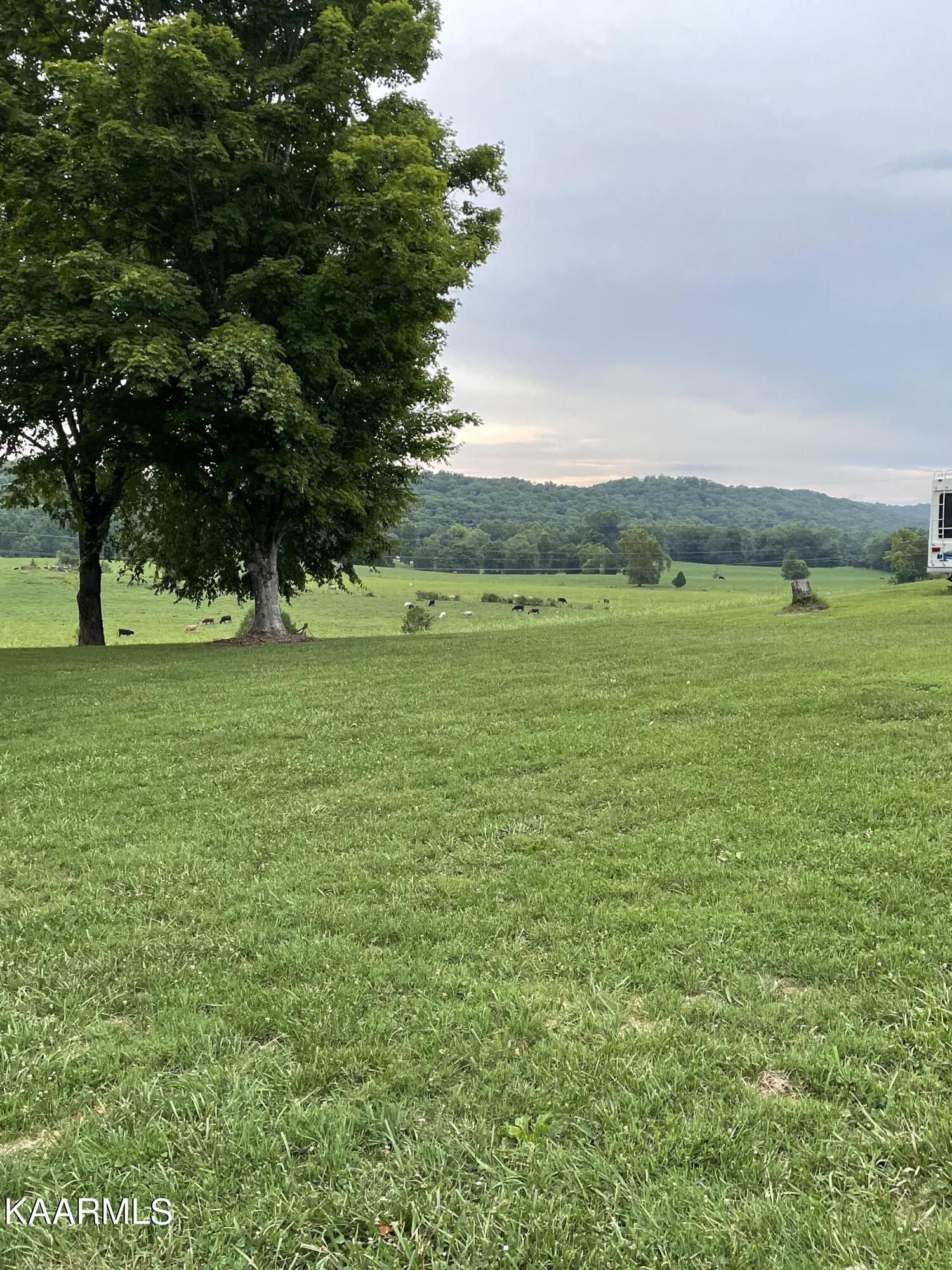 2943 Sugar Grove Valley Road Harriman, TN 37748 - Photo 6 of 56 4C1C9310-ACC9-4715-B5C3-1B20A322D310