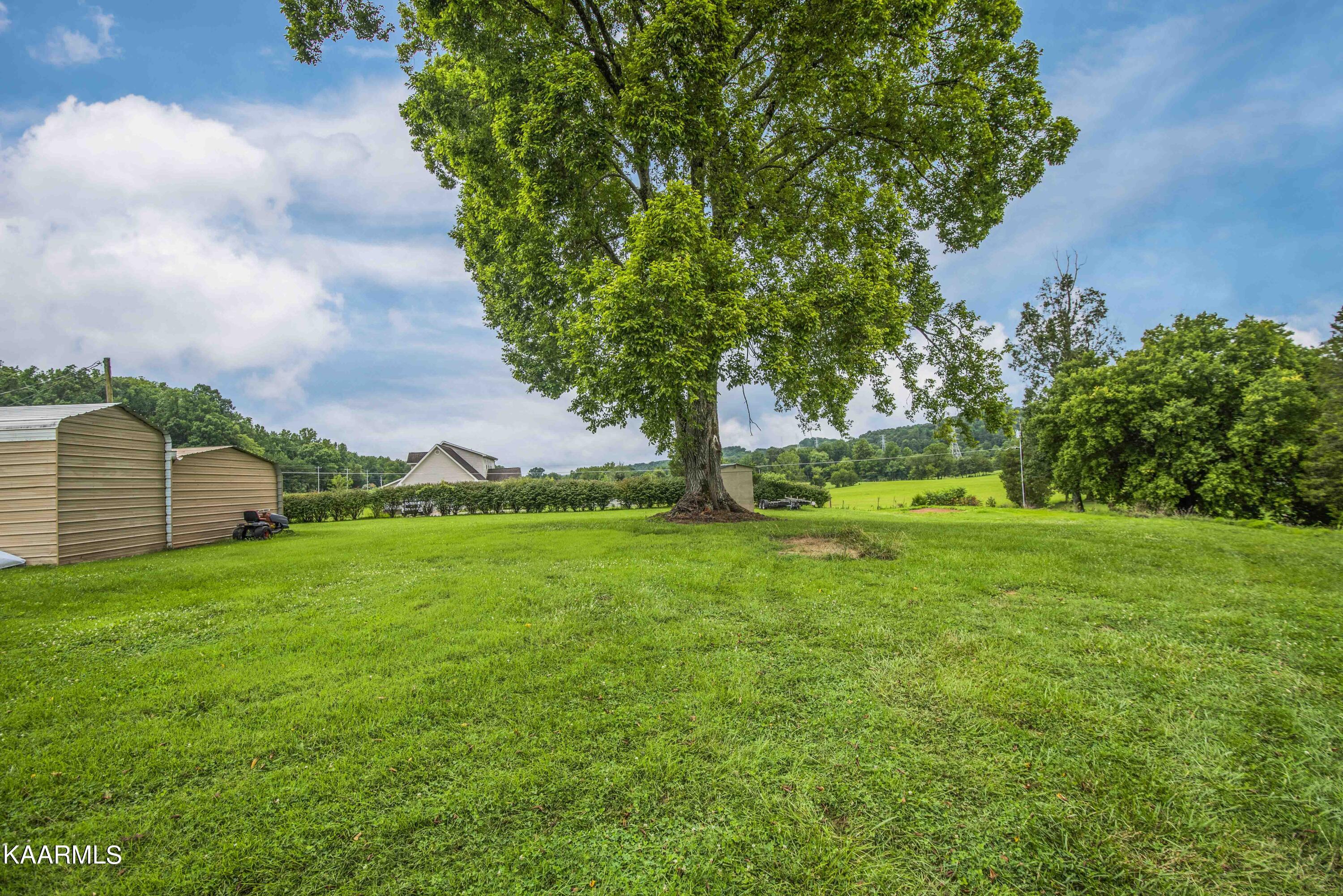 2943 Sugar Grove Valley Road Harriman, TN 37748 - Photo 8 of 56 yard 4_1