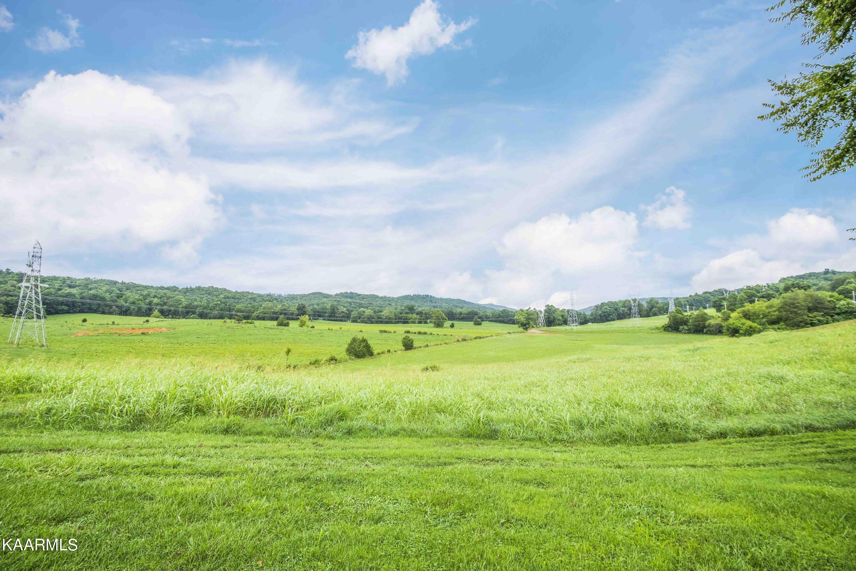 2943 Sugar Grove Valley Road Harriman, TN 37748 - Photo 9 of 56 yard 5_1