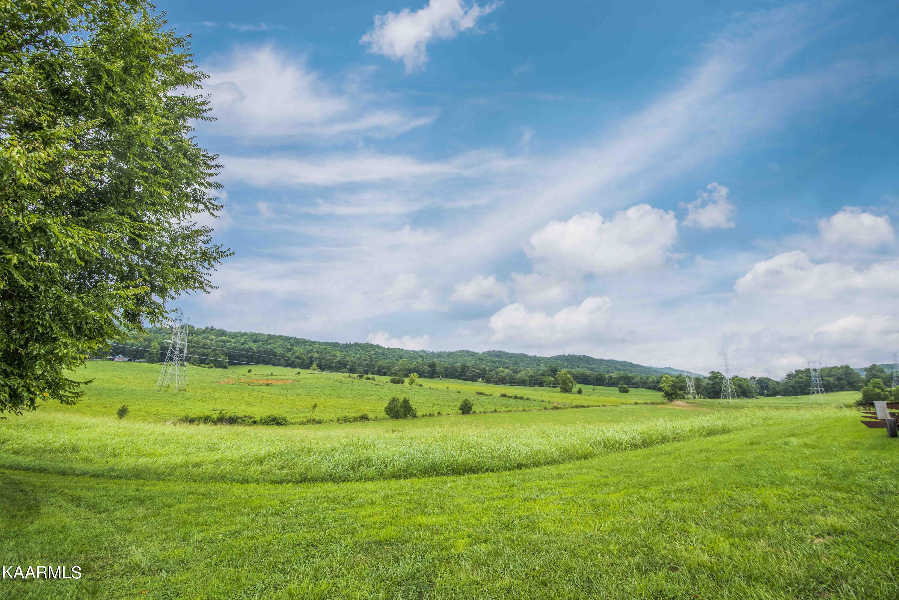 2943 Sugar Grove Valley Road Harriman, TN 37748 - Photo 10 of 56 yard 7_1