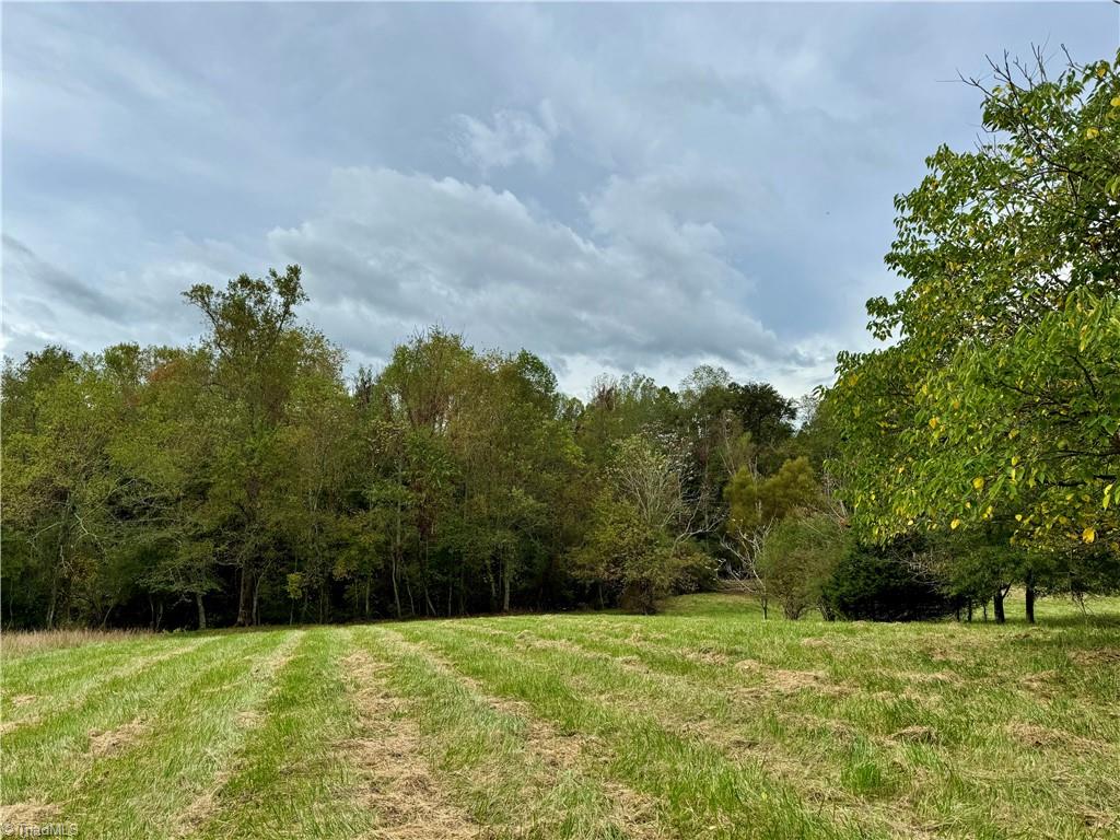 310 Jessup Grove Church Road Pilot Mountain, NC 27041 - Photo 16 of 29
