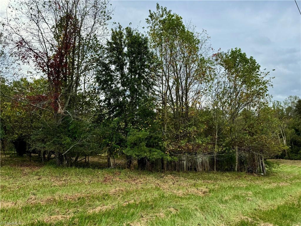 310 Jessup Grove Church Road Pilot Mountain, NC 27041 - Photo 20 of 29
