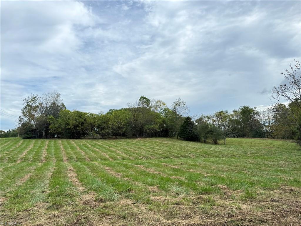 310 Jessup Grove Church Road Pilot Mountain, NC 27041 - Photo 22 of 29