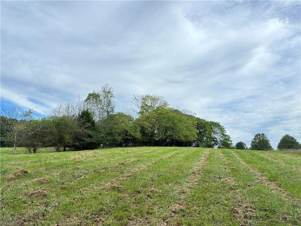 310 Jessup Grove Church Road Pilot Mountain, NC 27041 - Photo 23 of 29