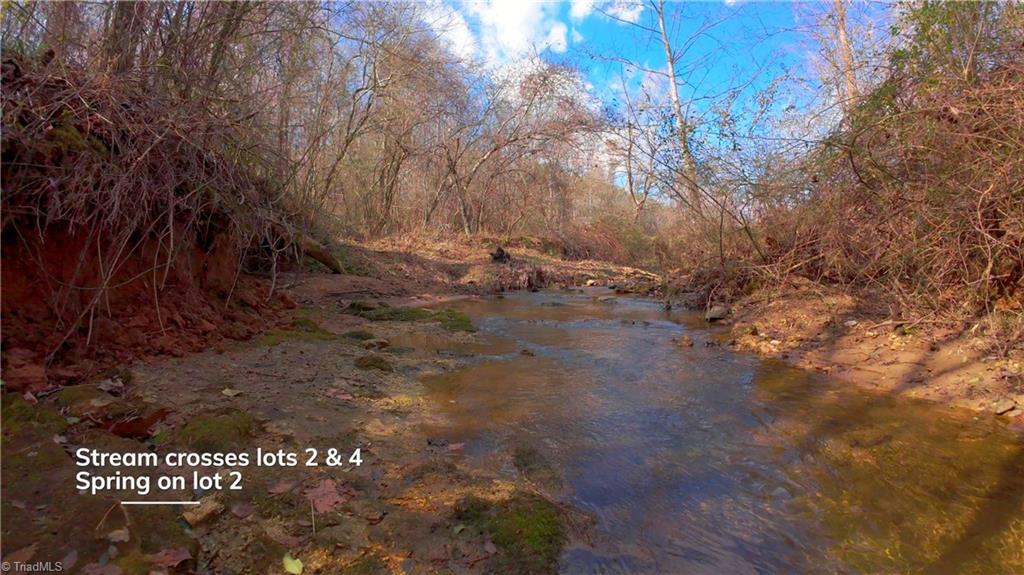 310 Jessup Grove Church Road Pilot Mountain, NC 27041 - Photo 24 of 29