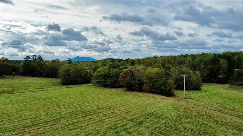 310 Jessup Grove Church Road Pilot Mountain, NC 27041 - Photo 10 of 29