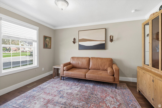 353 Robin Street Smithfield, UT 84335 - Photo 24 of 70 Living area featuring crown molding and dark wood-type flooring
