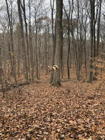 6300 Via-Ken Road Hopewell, OH 43746 - Photo 2 of 11 Gallery Image 2
