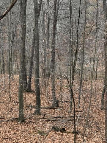 6300 Via-Ken Road Hopewell, OH 43746 - Photo 5 of 11 Gallery Image 5