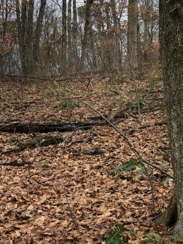 6300 Via-Ken Road Hopewell, OH 43746 - Photo 6 of 11 Gallery Image 6