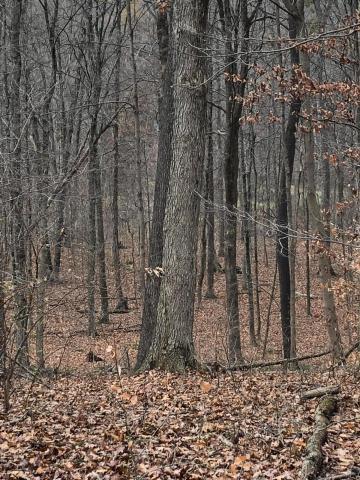 6300 Via-Ken Road Hopewell, OH 43746 - Photo 9 of 11 Gallery Image 9