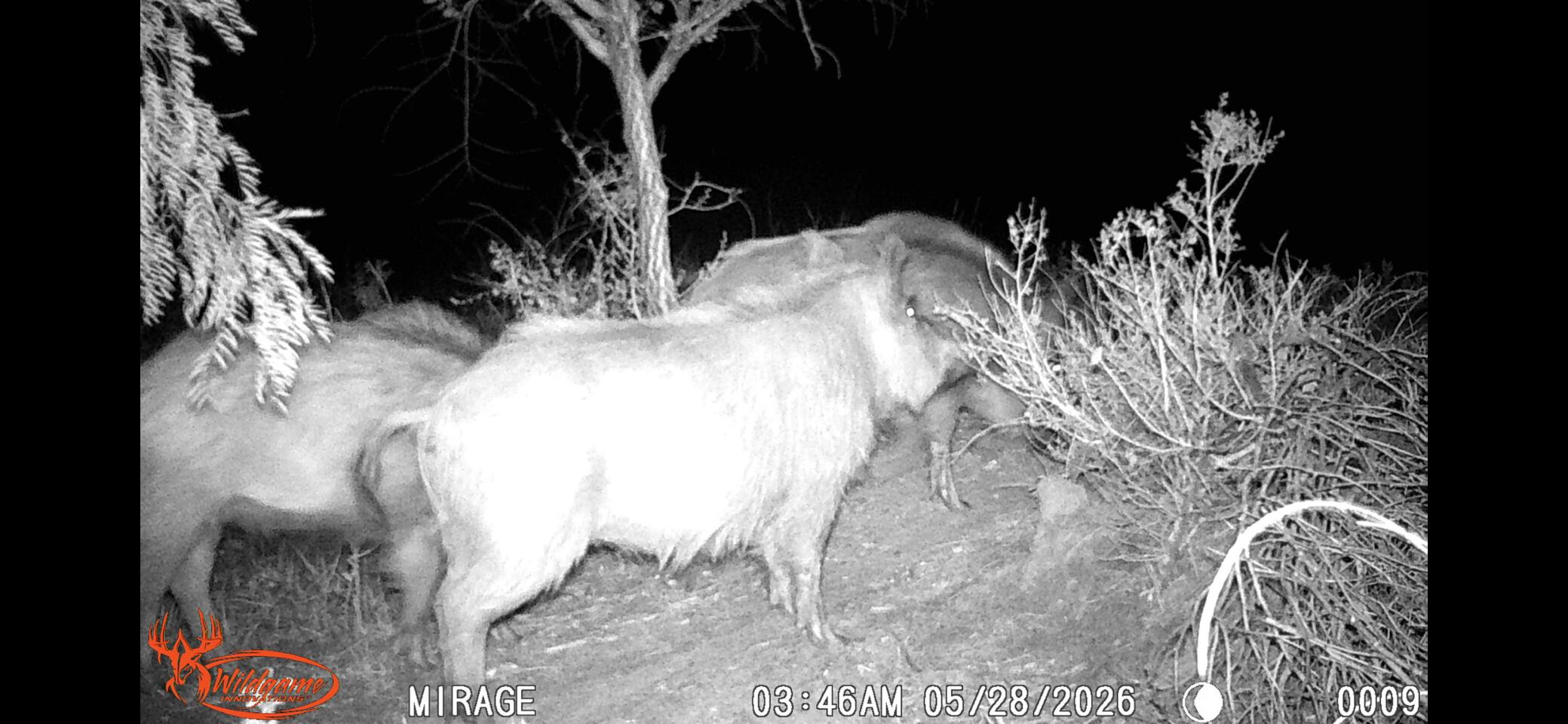 239 County Road Afton, TX 79220 - Photo 20 of 22 IMG_9639