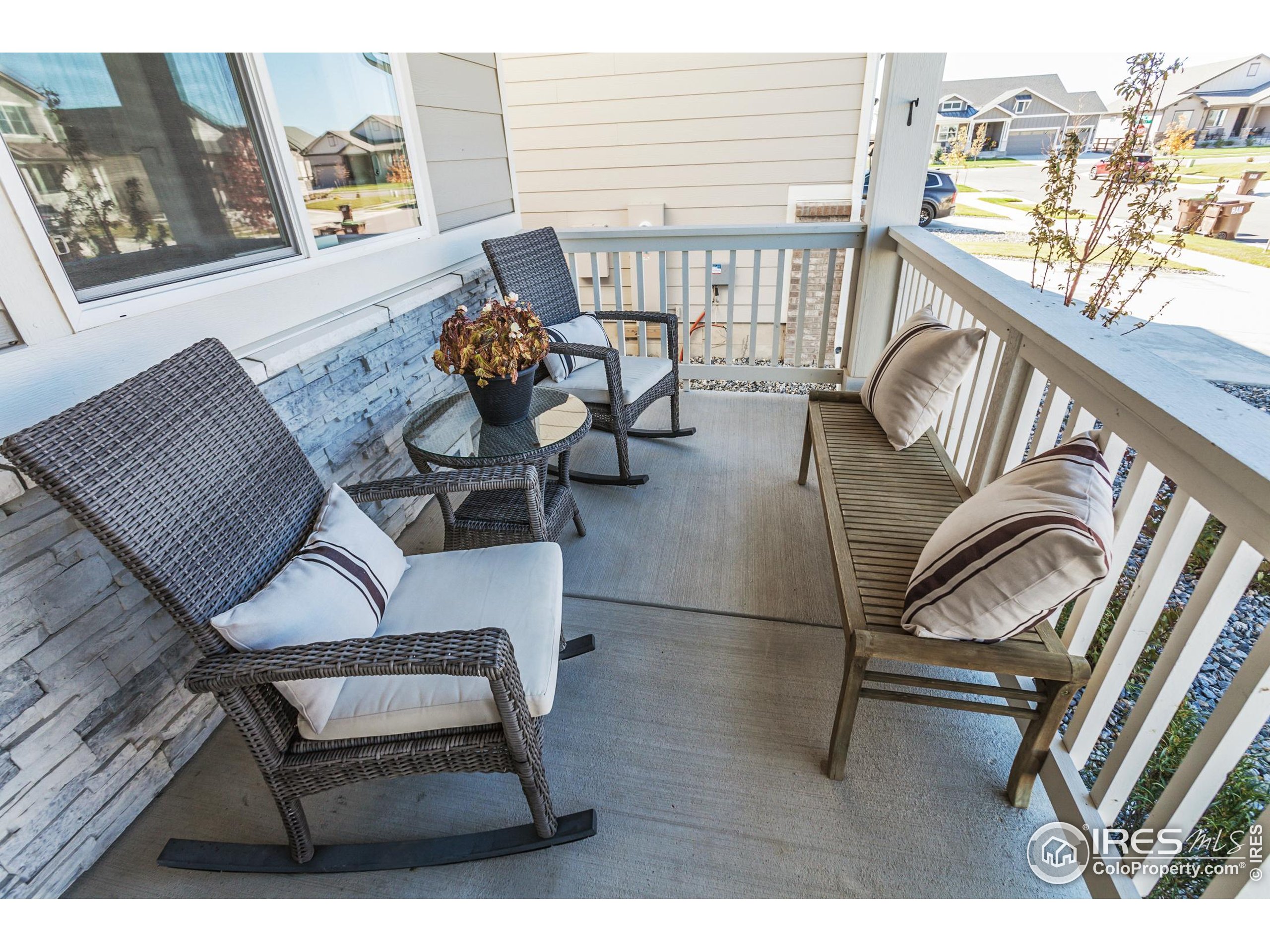 951 Rustling Street Windsor, CO 80550 - Photo 2 of 47