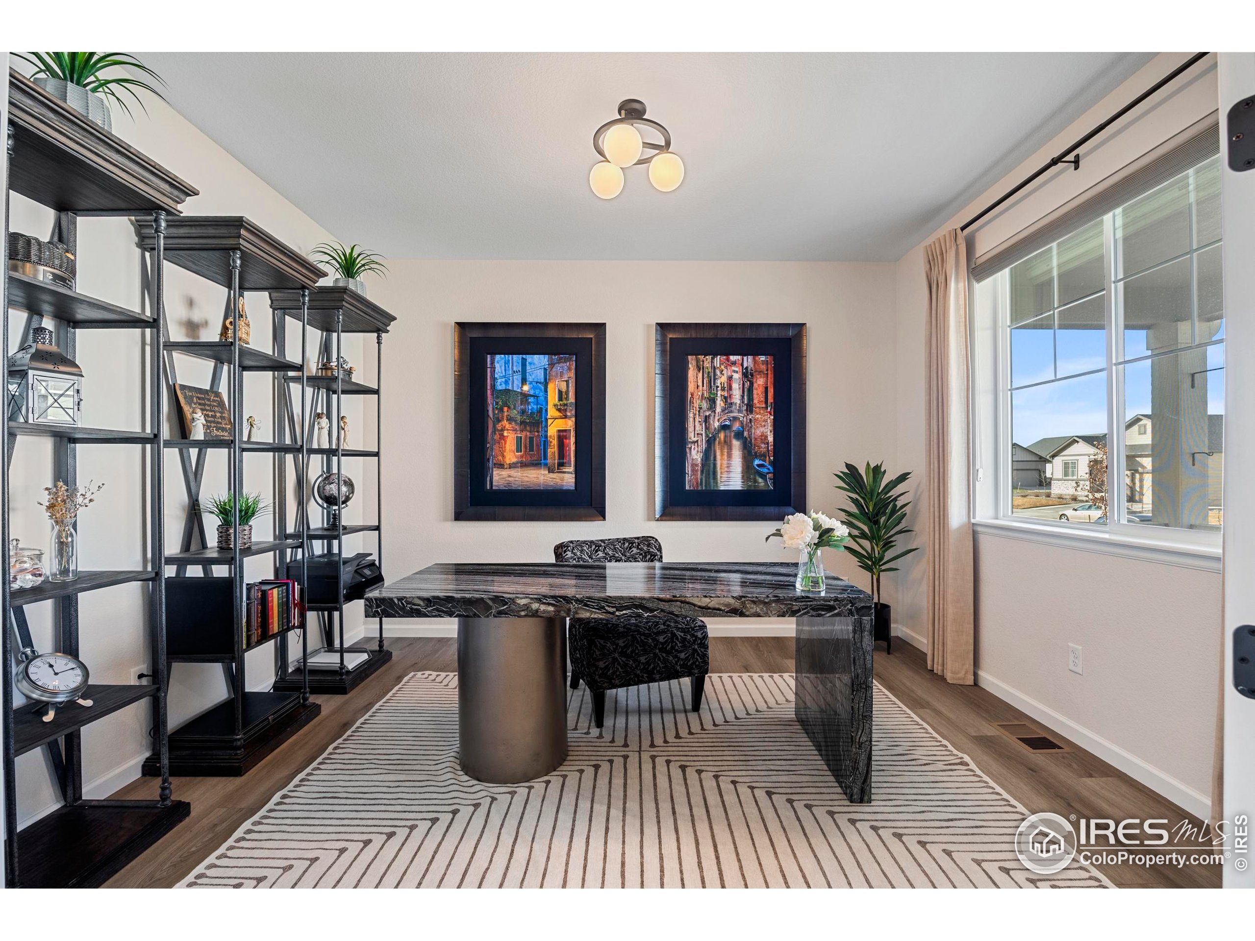 951 Rustling Street Windsor, CO 80550 - Photo 4 of 47