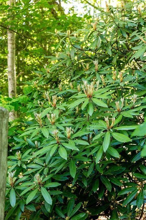 704 Riverbend Road Blairsville, GA 30512 - Photo 46 of 89