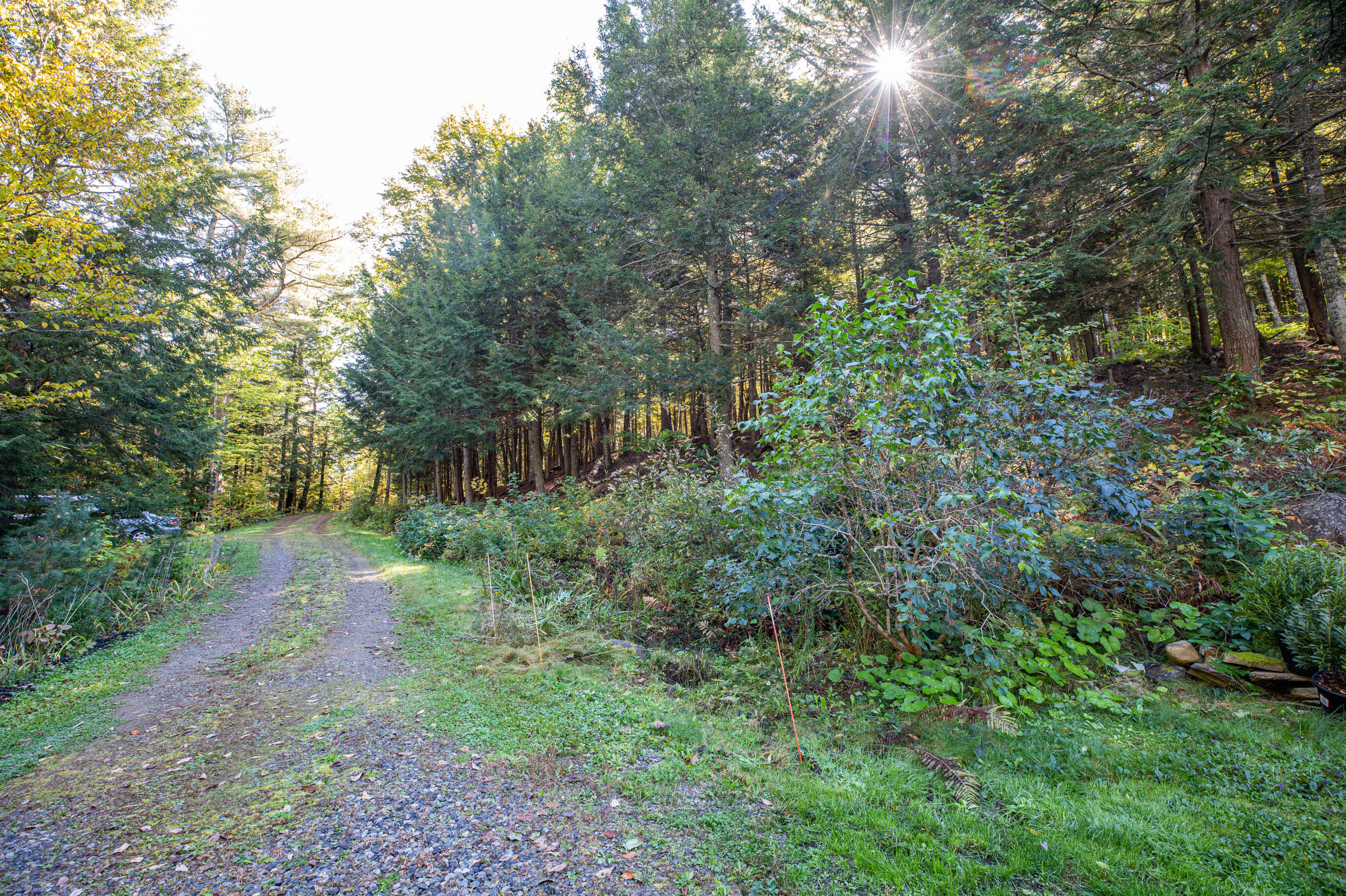 164 Carmel Road South Hampden, ME 04444 - Photo 47 of 84 TriciaLargay_164CarmelRd_2021-77