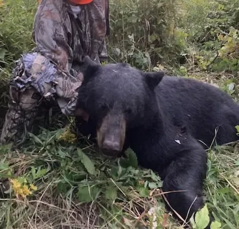 $194,000 | Xxx Xxx Highway, Grantsburg, WI 54840