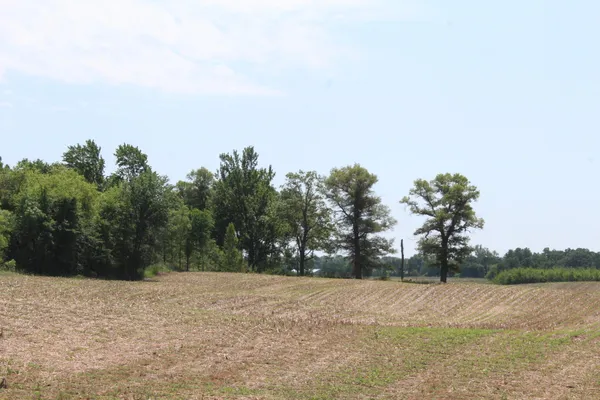 $194,000 | Xxx Xxx Highway, Grantsburg, WI 54840