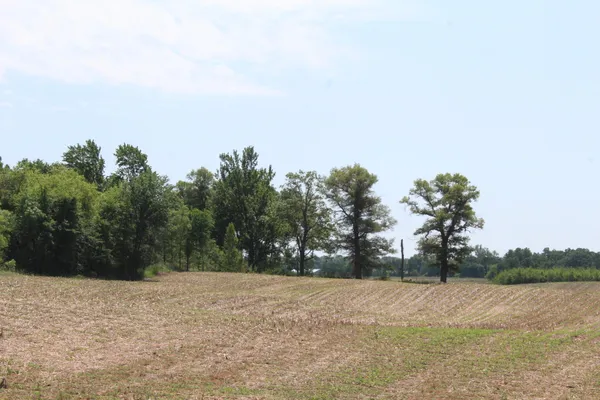 $194,000 | Xxx Xxx Highway, Grantsburg, WI 54840