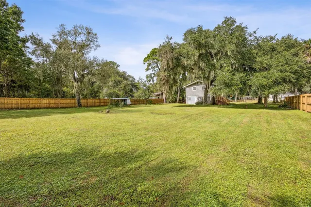 a view of a large trees with lots of trees