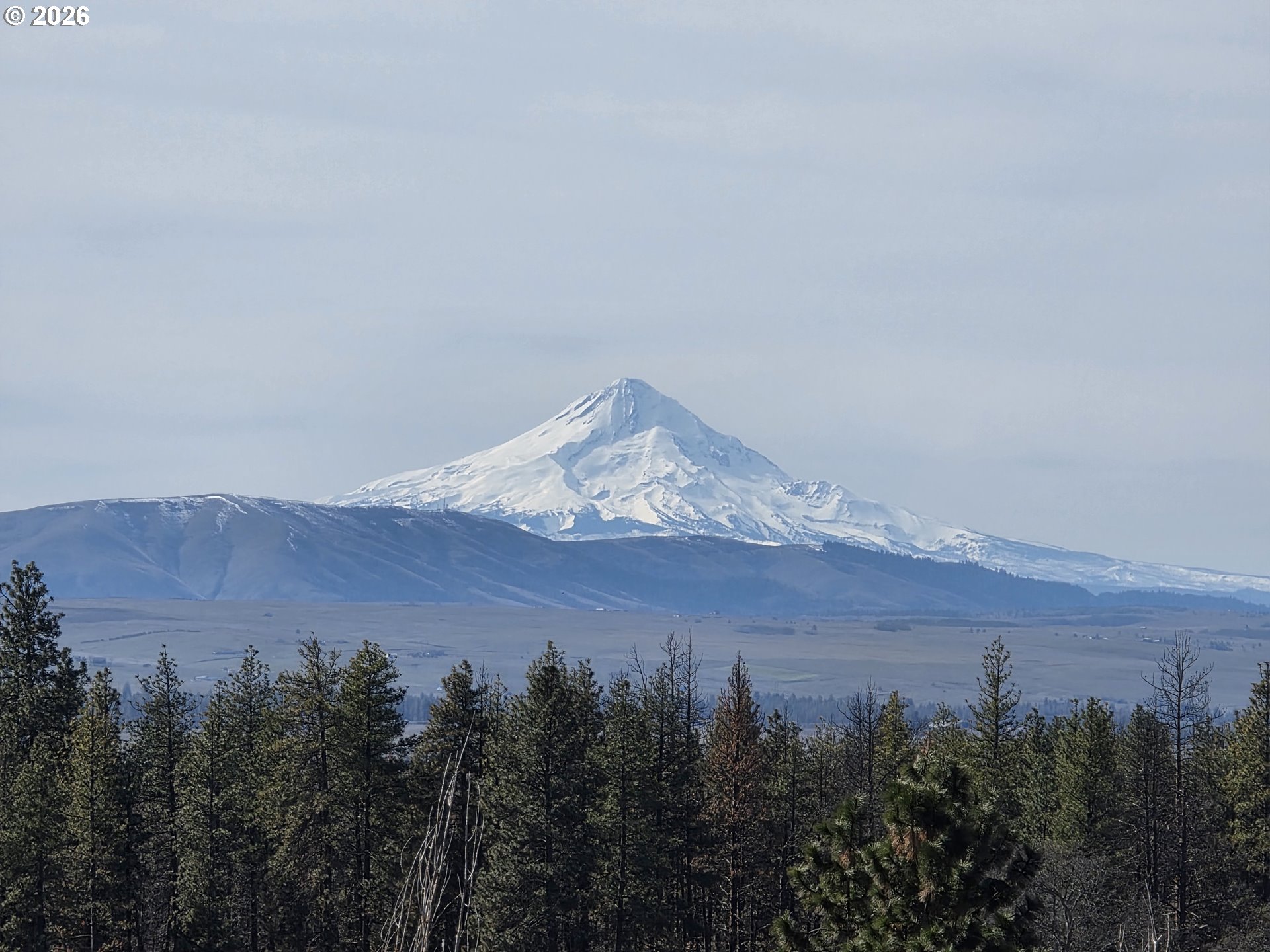 38 Wildhorse Ranch Road Goldendale, WA 98620 - Photo 22 of 22 a view of a dry forest with mountains in the background